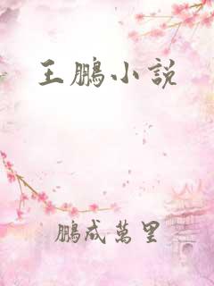 王鹏小说