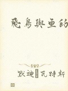 飞鸟与鱼的故事