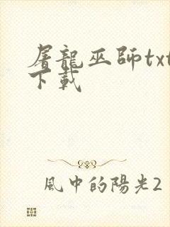 屠龙巫师txt下载