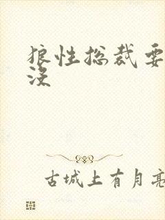 狼性总裁要够了没