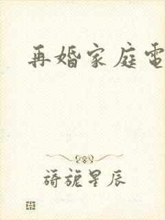 再婚家庭电视剧