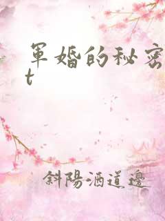 军婚的秘密txt