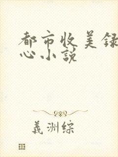 都市收美录宁素心小说