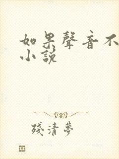 如果声音不记得小说