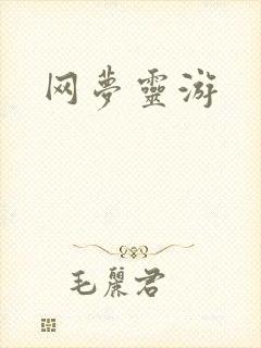 网梦灵游