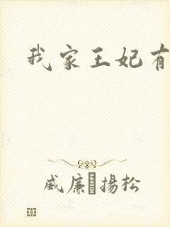 我家王妃有点野