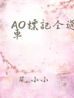 AO标记全过程车