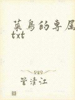 菜鸟的专属大神txt