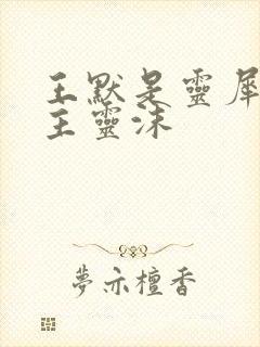 王默是灵犀阁公主灵沫