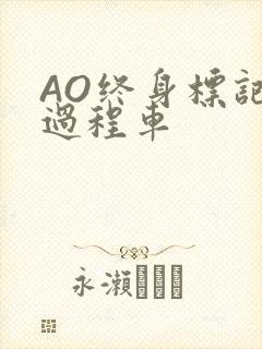 AO终身标记全过程车