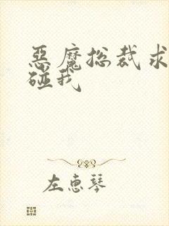 恶魔总裁求你别碰我