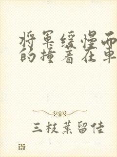 将军缓慢而有力的撞着在车视频