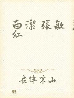 白洁 张敏 美红