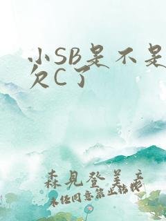 小SB是不是又欠C了