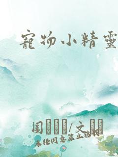 宠物小精灵之梦