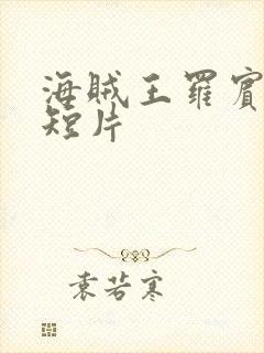 海贼王罗宾被h短片