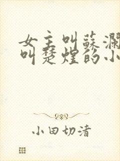 女主叫苏澜男主叫楚煜的小说