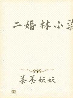 二婚 林小染
