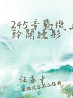 245章飞机上干关晓彤