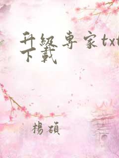 升级专家txt下载