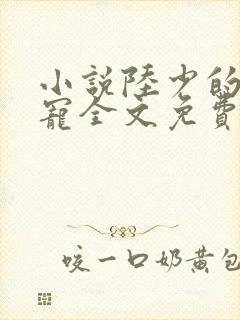 小说陆少的心尖宠全文免费阅读