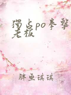 独占po拳击馆老板