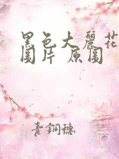 黑色大丽花真实图片 原图