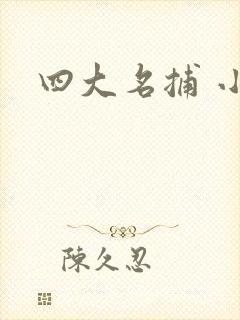 四大名捕 小说