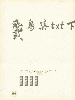 飞鸟集txt下载