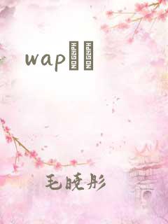 wapС˵