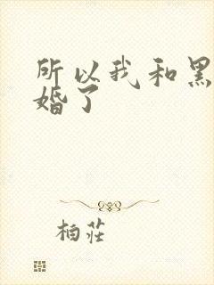 所以我和黑粉结婚了