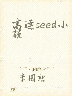 高达seed小说