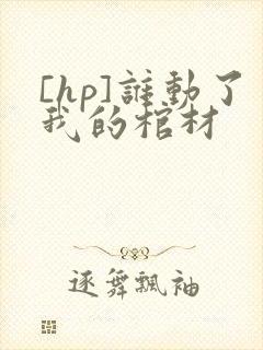 [hp]谁动了我的棺材
