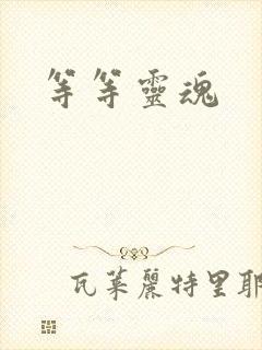 等等灵魂