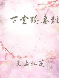 下堂残妻难再娶