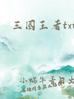 三国王者txt