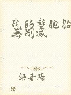 我的双胞胎老婆无删减