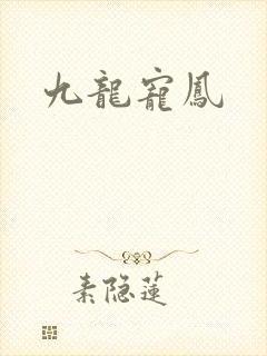 九龙宠凤