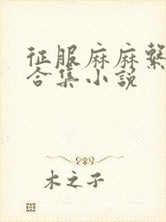 征服麻麻系列大合集小说