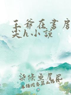 王爷在书房含乳尖h小说