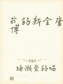 我的新金庸群侠传