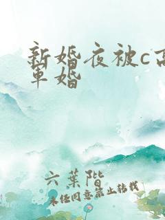 新婚夜被c高h军婚