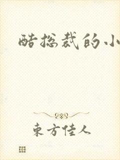 酷总裁的小女佣