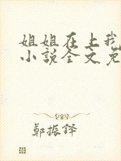 姐姐在上我在下小说全文免费阅读