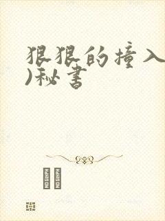 狠狠的撞入(h)秘书