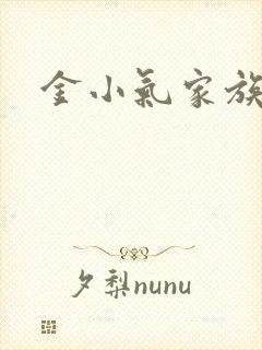 金小气家族小说