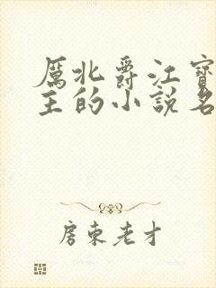 厉北爵江宝宝男主的小说名字