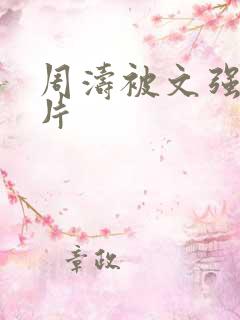 周涛被文强睡图片