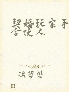 契婚玩家手册之合伙人