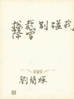 总裁别碰我 韩降雪